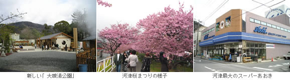 桜坂温泉別荘地から車で、大噴湯公園、河津桜まつりの様子、スーパー